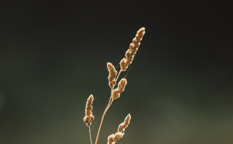 KANSEIのイメージ