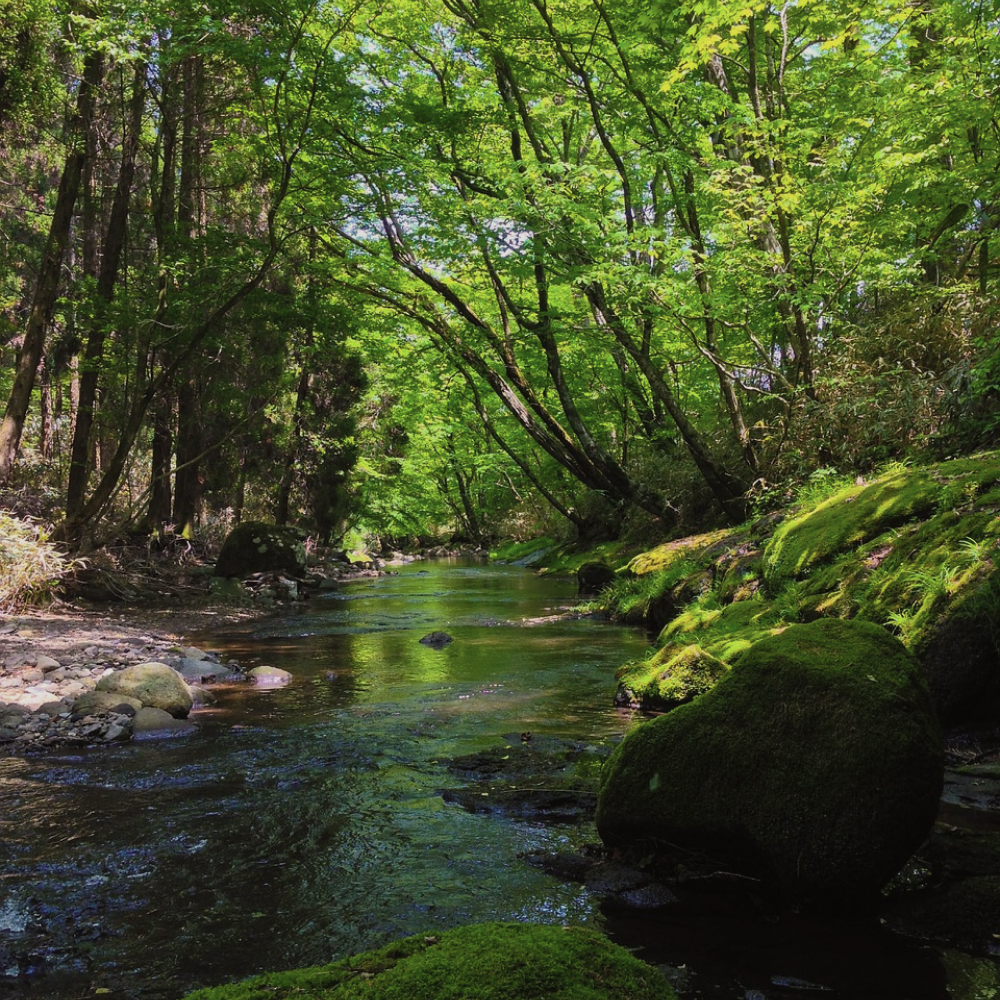 KANSEIのイメージ
