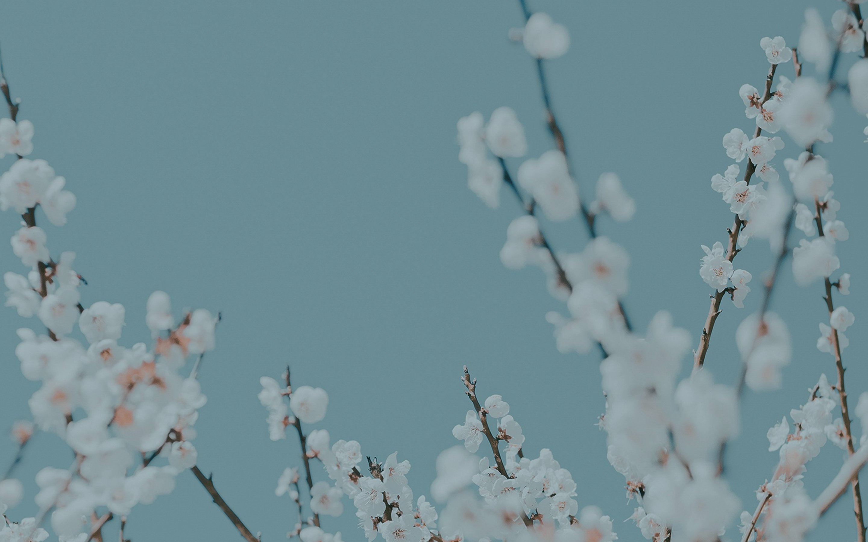 KANSEIのメインビジュアル